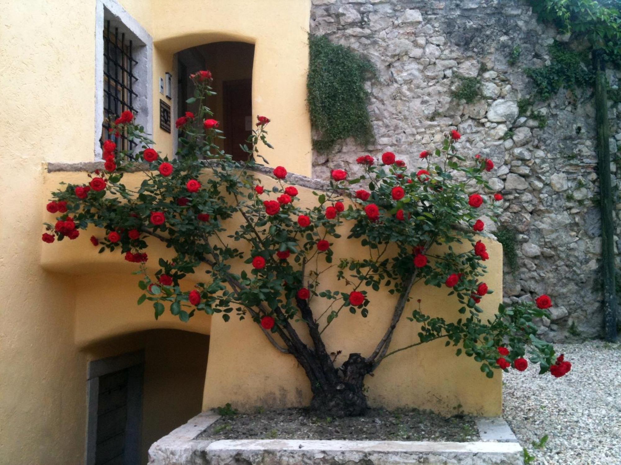 Relais Palazzo Lodron Hotel Rovereto  Buitenkant foto